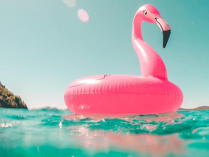 Actionable marketing tips flamingo