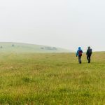 Sussex SEO - South Downs