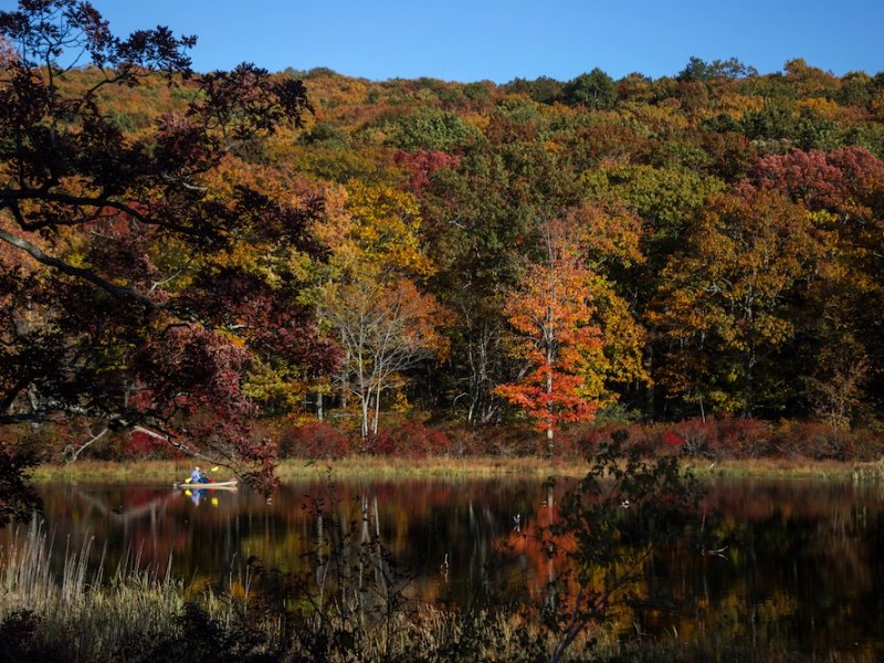 Autumn woodland reflected in a still lake